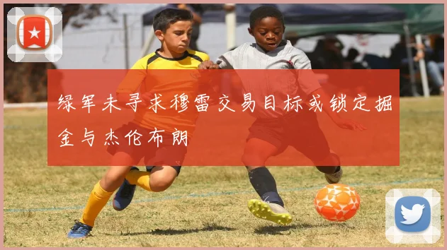 绿军未寻求穆雷交易目标或锁定掘金与杰伦布朗